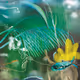 Underwater Circumnavigation