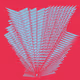 Structural Bloom