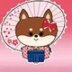 Wabi-Sabi Shiba Dogs