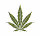 DankAssDepot