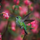 Photography in Oregon