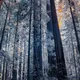 AOM_FANSI_LOFIHIFI_001