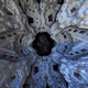 THE VOID XX42CDx