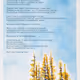 SOLITUDE & SOLACE [poems] - Editions by Alex Mack