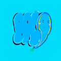 B0L0 Collection