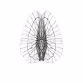 Quanta Captures