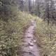 Jasper - Mount Whistler