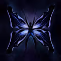 Fantastic Butterfly