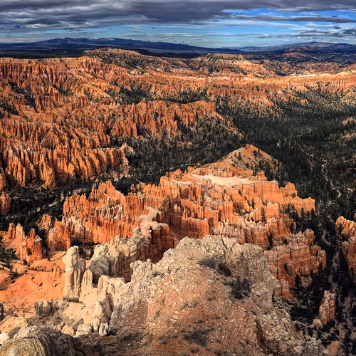 Editions by Dolly Kabaria