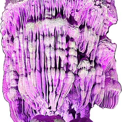 Souls of the Jelly Fish