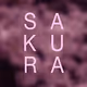 SAKURA - Spring Kintsugi collection