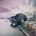 Satoshicode city animals - old