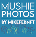 Mushie Photos