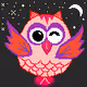 Crypto-Owls