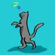 Cat Russian Blue
