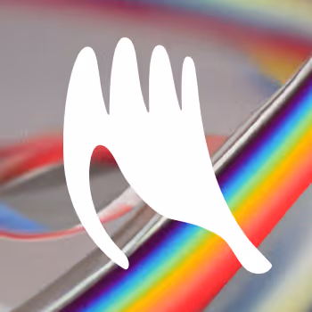 Colour and Shape study Edition 1