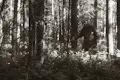 #804