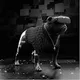 Cyborg86 CyDog NFT
