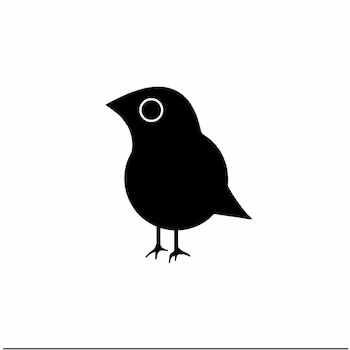 Little Ravens