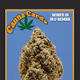 CannaCards420