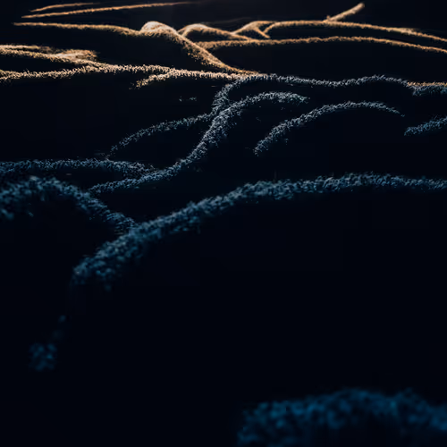 Photos random photos