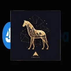 アイテム メディア プレースホルダー