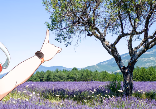 2 Traveler's Canvas floor 0.002