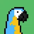 Punk Parrots