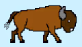 8bit Bison