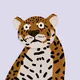 Aminal Kingdom