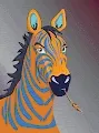 The Zebra Club Collections