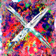 FLYOSITY  ❰ × ❱  1/1s