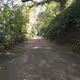 Walking alone