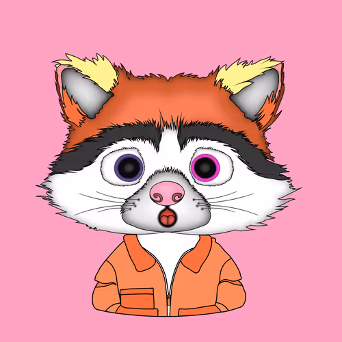 NFTRaccoon