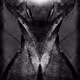 Dark Realm Designs