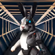Meta-Cyborgs