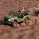 Desert Drive