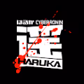 CyberRouin Haruka