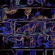 Neon Experiment - old
