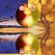 Sun Mong Moon