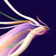 Ryujin 02 - Ethereum
