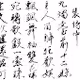 Calligraphy Collection JP