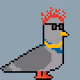 Crypto Pigeon Punk