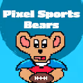 Pixel Sports Bear Collection