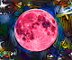 Wen Moonn - old