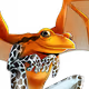 The Frog - Source File Bundle