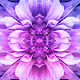 Fractal Photography - old