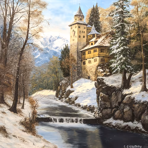 Original Oil Paintings