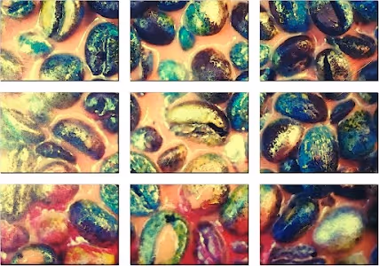 Torrefactor collector