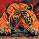 Year of the Tiger - Official